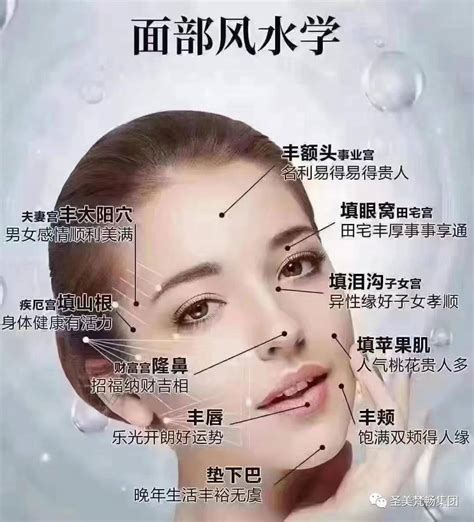 女人 木偶 紋 面相|女人木偶纹的面相命运